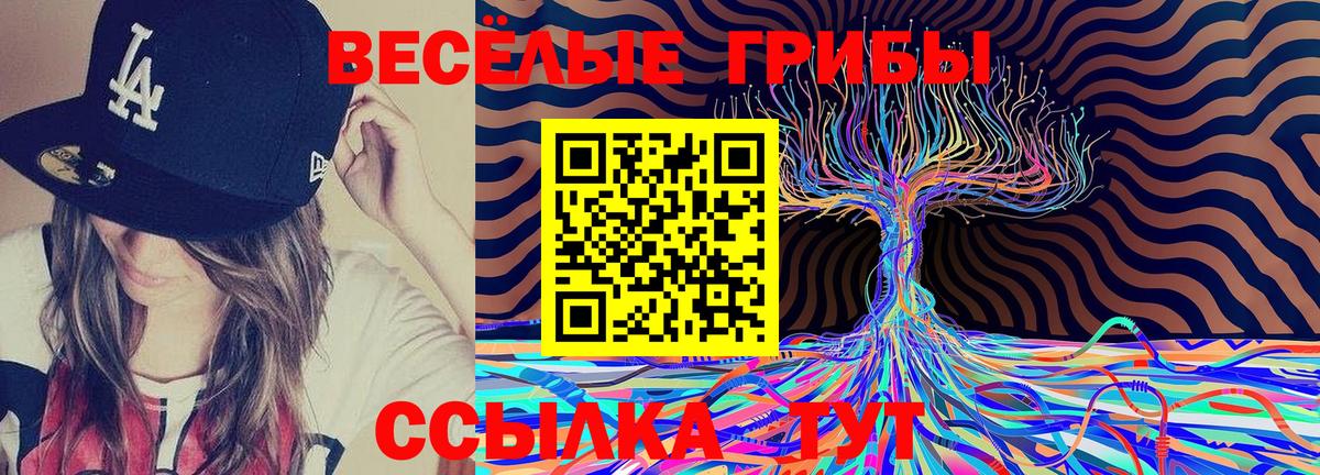 Галлюциногенные грибы Psilocybine cubensis  Вход с VPN  Северобайкальск 
